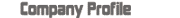 CompanyProfile